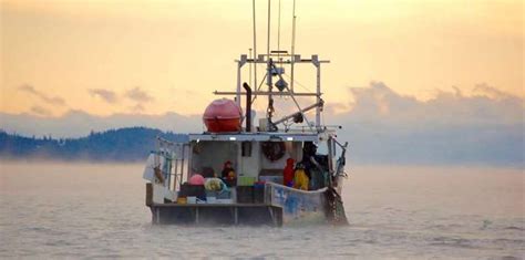 Scallop draggers license lottery winners announced.